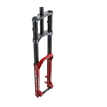 Rockshox BoXXer Ultimate Charger2.1 RC2 - DebonAir 29"