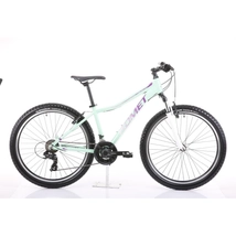Romet Jolene 6.1 2024 női Mountain Bike zöld-lila