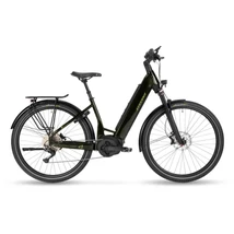 Stevens E-Universe 6.5.1 FEQ Forma unisex E-bike deep green