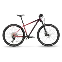 Stevens Devil's Trail 29 férfi Mountain Bike purple passion