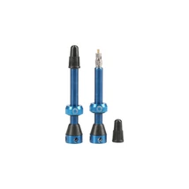 TUBOLIGHT szelep BLUE VALVES PAIR (VVBLU)