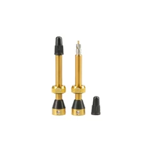 TUBOLIGHT szelep GOLD VALVES PAIR (VVGLD)