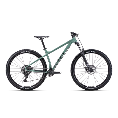 CTM Zephyr Comp 29 férfi Mountain Bike fényes sötét zsályazöld