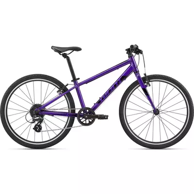 Giant ARX 24 2022 Gyerek Kerékpár purple