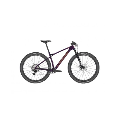 Lapierre Prorace CF 8.9 férfi Mountain Bike