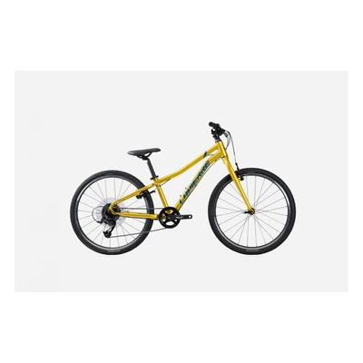 Lapierre Prorace 24 SL Gyerek Kerékpár