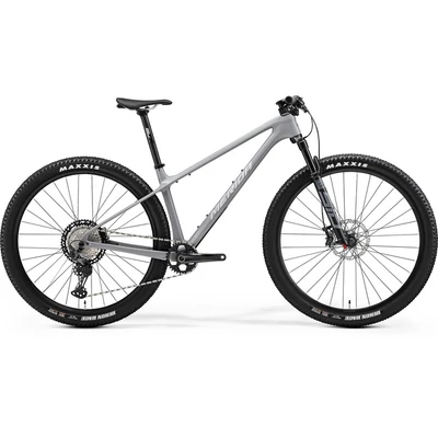 Merida 2024 BIG.NINE XT férfi Mountain Bike hidegszürke (ezüst/fekete) XL