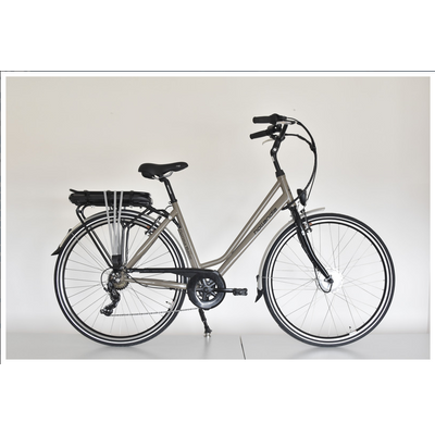 Neuzer Hollandia Basic acél női E-bike fekete-fehér
