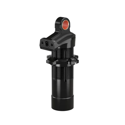 Rockshox Eyelet/Dmp Body Assy, Sdlc, Matte, St 65