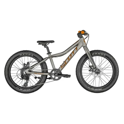 SCOTT Roxter 20 silver Gyerek Kerékpár smoked raw alloy-black