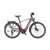 KTM Macina Style 720 2023 férfi E-bike sunset matt (champagne+black)