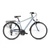 Romet Wagant 0 2024 férfi Trekking Kerékpár világosgrafit-zöld 19&quot; M